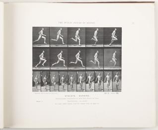 Muybridge, Human figure in motion, 1919